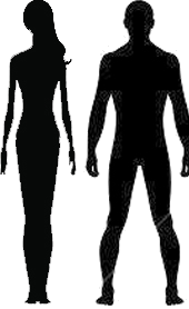 Masterclass: The Three Epochs of Calligraphic Cultivation — "Human, Grotesque, Transcendent"